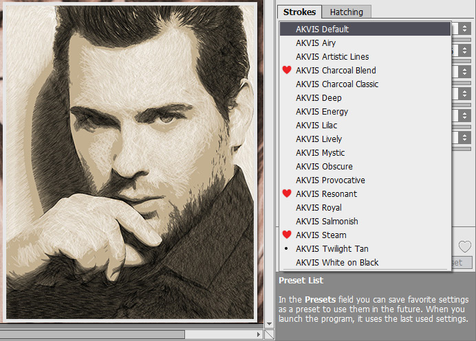 Presets Field in AKVIS Charcoal