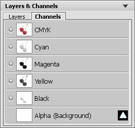 Channels Palette: CMYK Channels