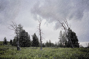 雨の効果