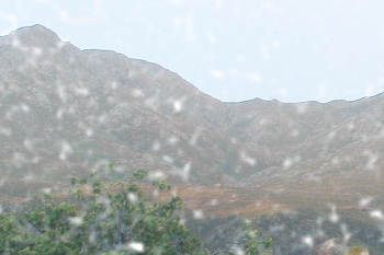 大きさが中程度で透明な雪の結晶