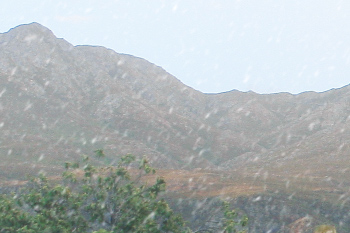 小さくて透明な雪の結晶